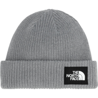 The North Face Salty Lined Beanie Hat 2026 in Gray | Polyester