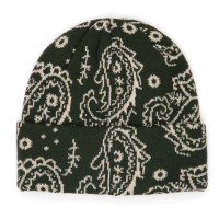 Corduroy Paisley Beanie Hat 2026 in Green