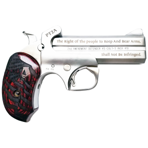 Protect the 2nd Amendment 4.25" 2 Round 357 Magnum / 38 Special Derringer - Stainless/Rosewood