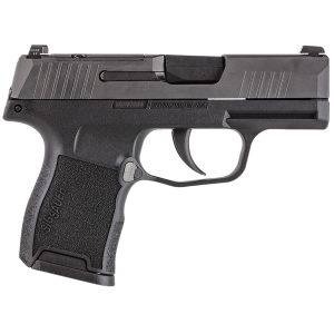 P365 3.10" 10 Round 380 ACP Pistol - Black