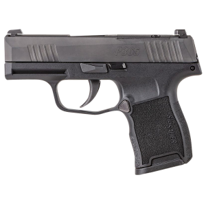 P365 3.10" 10 Round 380 Acp Pistol - Ma Compliant