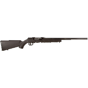 A17 22" 10 Round 17 HMR Semi Auto Rifle