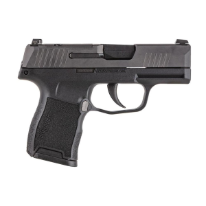 P365 Micro Compact 10 Round 380 ACP Pistol