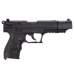 P22 Target 5" Threaded 10 Round 22 Long Rifle Pistol - Black - CA Compliant
