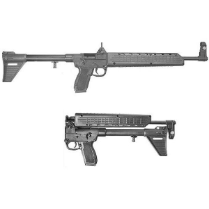 Sub-2000 16.25" 10 Round 9mm Semi Auto Rifle - Black