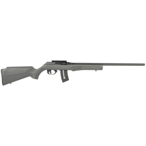 RS22 21" 10 Round 22 Magnum / 22 WMR Semi Auto Rifle - Gray