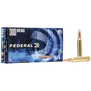 Power-Shok Copper Hollow Point 180 gr 300 Winchester Magnum Rifle Ammo - 20 Round Box
