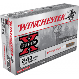 POWER Point 100 Gr 243 Winchester Rifle Ammo - 20 Round Box