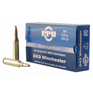 STANDARD Soft Point 100 Gr 243 Winchester Rifle Ammo - 20 Round Box