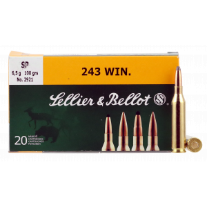 CENTERFIRE Soft Point 100 Gr 243 Winchester Rifle Ammo - 20 Round Box