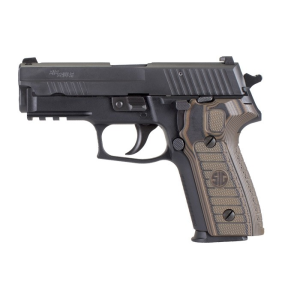 P229 Select 3.9" 10 Round 9mm Pistol
