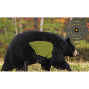 Walker's Bear Target (3 Pack)