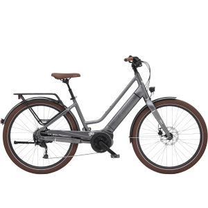 Electra Vale Go! 9D EQ eBike - 2024