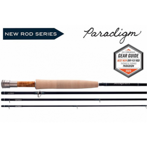 Thomas & Thomas Paradigm Fly Rod