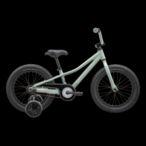 Riprock Coaster 16 Bike 2025 - Youth