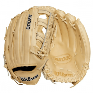 Wilson A2000 1810 Go Series Baseball Glove