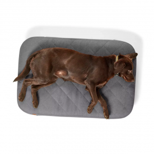 Orvis RecoveryZone ToughChew Lounger Dog Bed