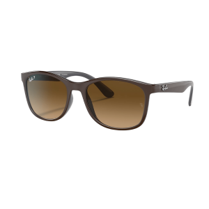 Ray-Ban RB4374 Sunglasses