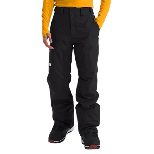 The North Face Freedom Insulated Pant - Men's