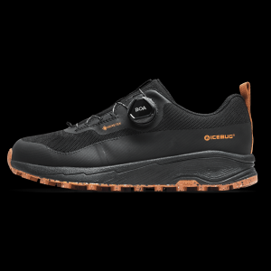 Icebug Haze RB9X GTX Shoe - Women's
