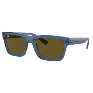 Ray-Ban Warren Sunglasses