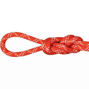 Mammut Gym Classic 9.5mm Climbing Rope