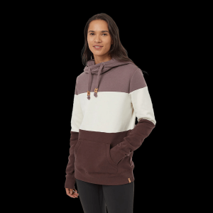 tentree Blocked Banshee Hoodie - Women's