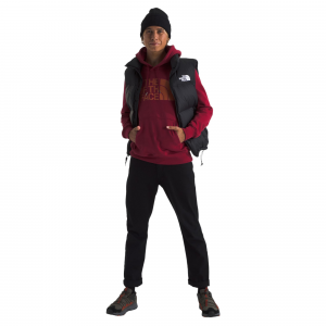 The North Face Half Dome Pullover Hoodie - Men's