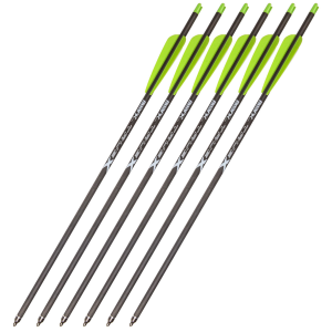 Bear Archery TrueX Crossbow Bolts (6 Pack)