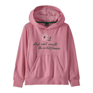 Patagonia Lightweight Graphic Hoodie Sweatshirt - Youth