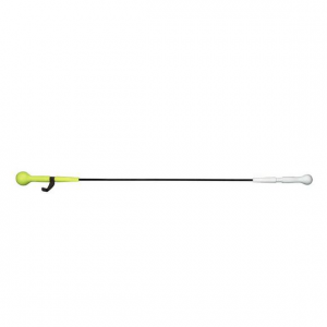 Easton Training Stick