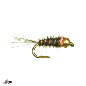 Umpqua Frenchie Egan's