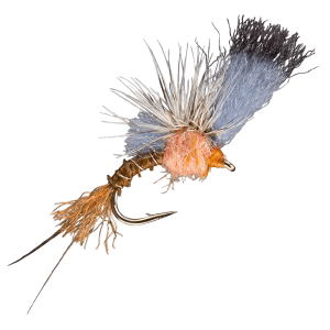 Rio Film Critic Fly