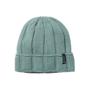 Stance Pier Beanie