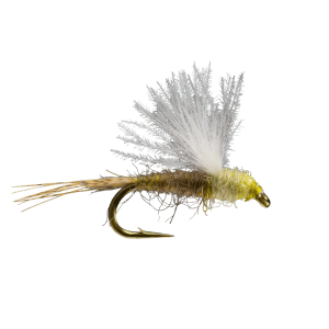 Rio Transitional Dun