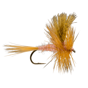 Rio Cahill Fly