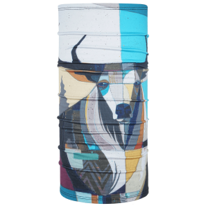BlackStrap Therma Tube Neck Warmer