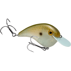 Strike King Chick Magnet Flatsided Crankbait