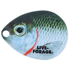 Northland Fishing Tackle Colorado #3 Blade