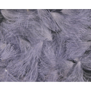 Hareline Cul De Canard Oiler Puffs Fly Tying Material
