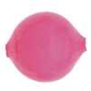 Yakima Bait #10 Corky Egg Imatation/Bait Floater (6 Pack)