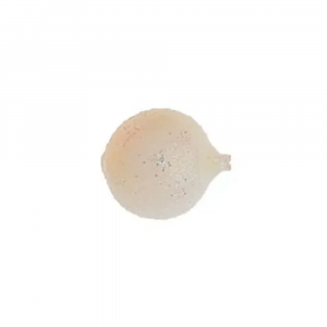 Yakima Bait #10 Corky Egg Imatation/Bait Floater (6 Pack)