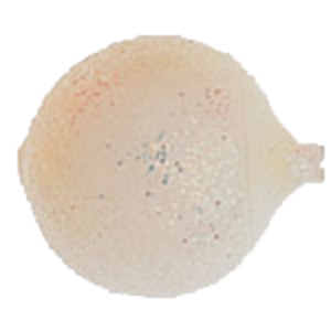 Yakima Baits #12 Corky Egg Imitation/bait Floater (6 Pack)