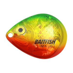 Northland Fishing Tackle Baitfish Colorado Blades