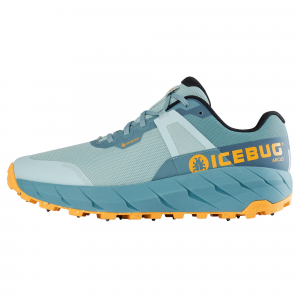 Icebug Arcus BUGrip GTX Shoe - Women's