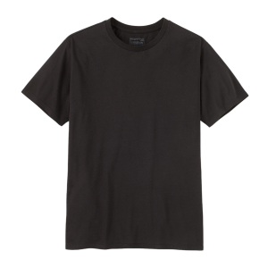 Patagonia Regenerative Organic Certified Cotton Lightweight T-Shirt