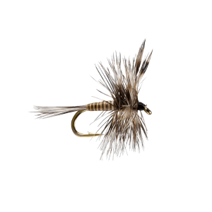 Rio Mosquito Fly