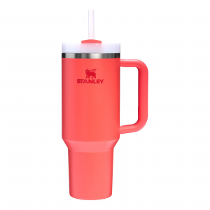Stanley The Quencher H2.0 Flowstate Tumbler - 40oz
