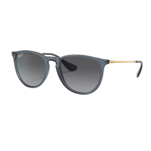 Ray-Ban Erika Classic Sunglasses