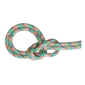 Mammut 9.0 Crag We Care Dry Rope